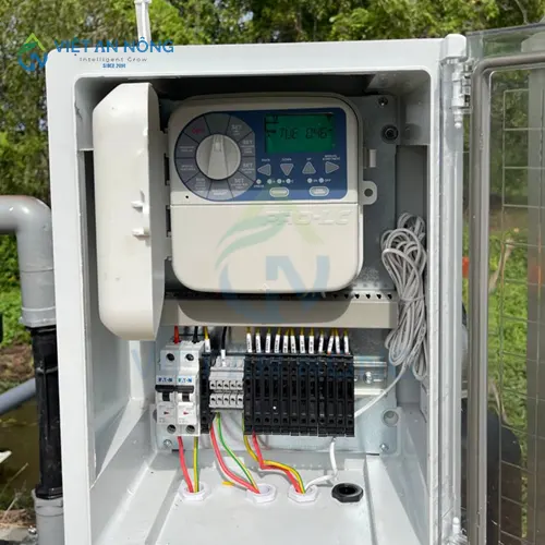 kinh-ngiem-chon-he-thong-tuoi-nho-giot-cho-dua-luoi