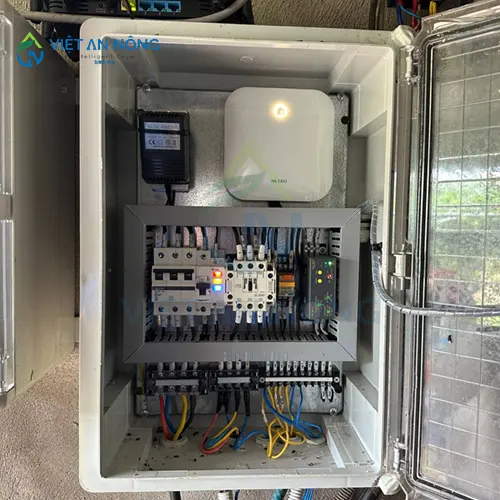 kinh-nghiem-vang-trong-tuoi-mang-cut-giup-cay-tang-nang-xuat.6