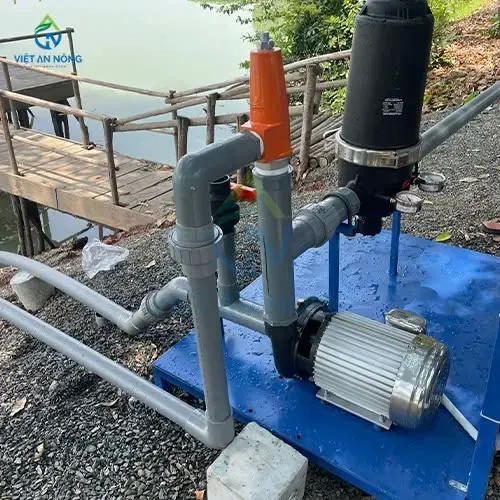 Co-nen-dung-ong-tuoi-nho-giot-cho-cay-an-trai-lau-nam