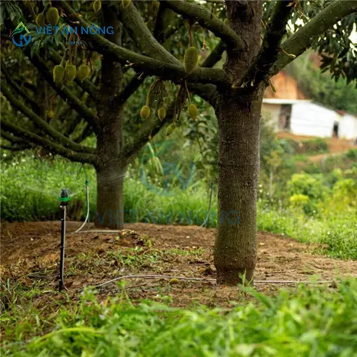 thiet ke he thong tuoi tu dong bao nhieu tien.2