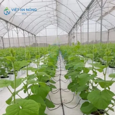 he thong tuoi nho giot nha kinh