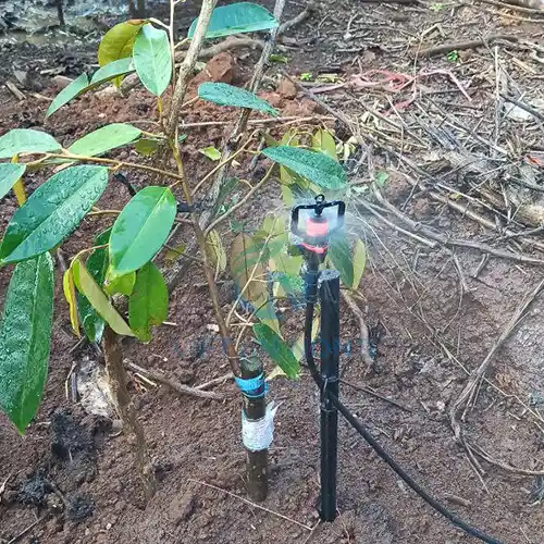 bec tuoi cay aq206pc