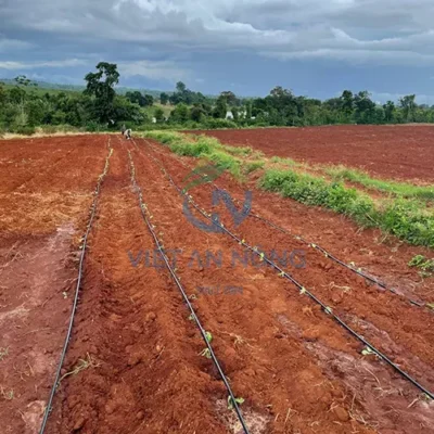 he thong tuoi nho giot