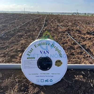 day nho giot viet an nong