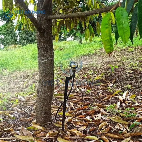 bec tuoi phun mua cuc bo ket hop bo cham dinh duong tu dong