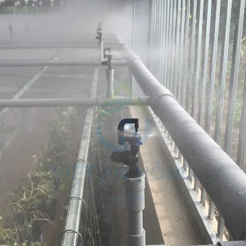 bo hen gio tuoi lap dat trong he thong nha kinh