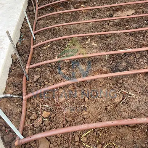 he thong nho giot ket hop bo cham dinh duong tu dong