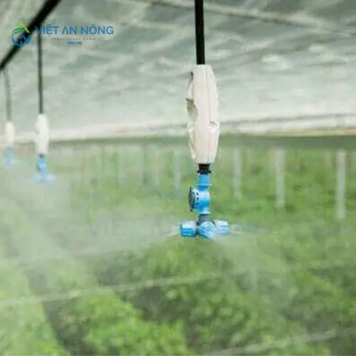 tuoi phun suong ket hop voi bo cham dinh duong tu dong