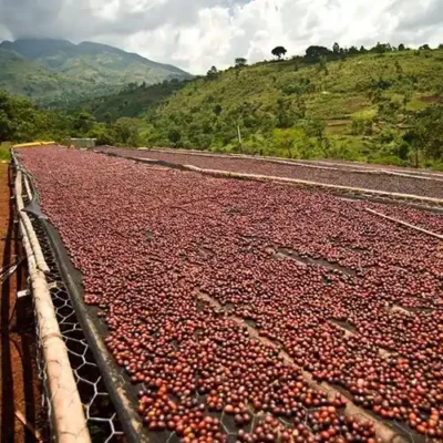 20a7ce2ead95083518e849359145ad2a