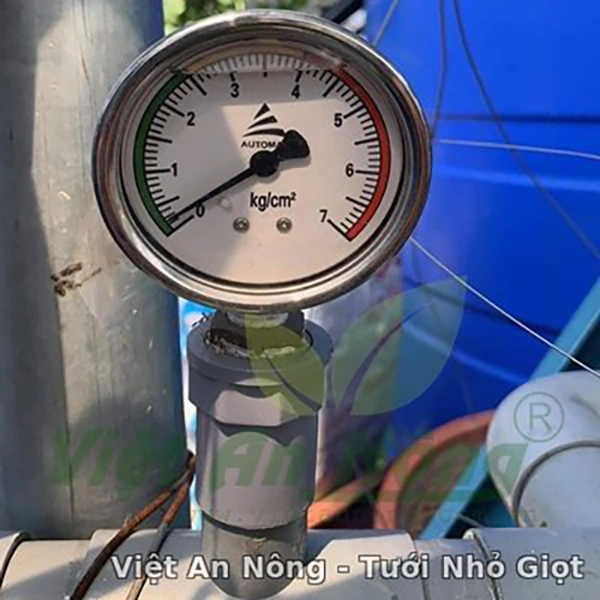 Tuoi nho giot ca phe bi quyet tang nang suat 7