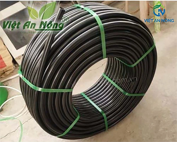 Tuoi nho giot ca phe bi quyet tang nang suat 9 1