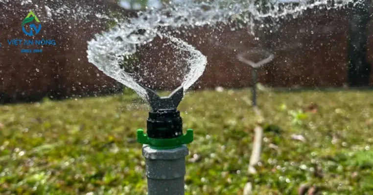 bec tuoi ca phe aq215