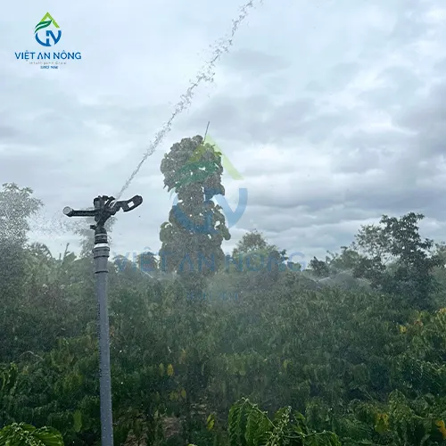 béc tưới cà phê cánh đập AQ46