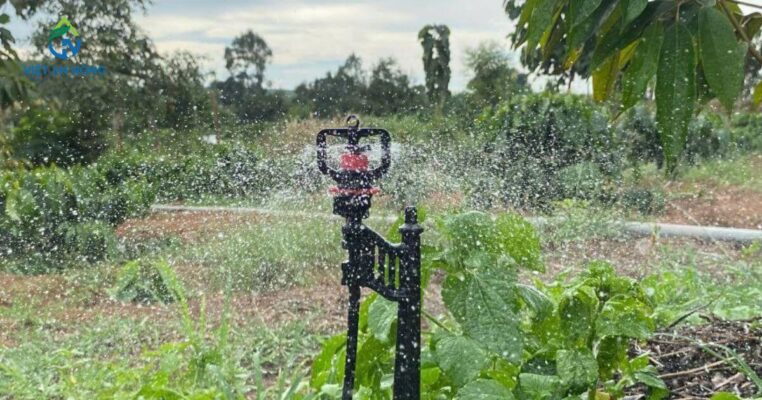 Béc tưới cây ăn trái - Cách chọn đúng và phù hợp nhất cho nhà vườn