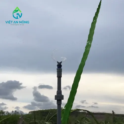 bec tuoi re quat phu tan aq215 tuoi thanh long 1