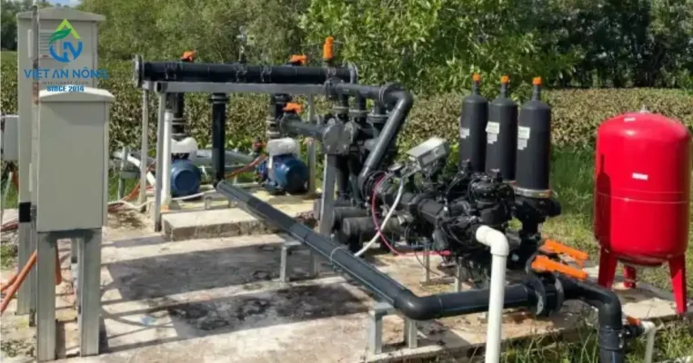 bo loc trung tam tuoi tu dong