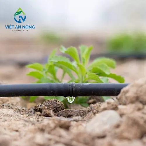 day tuoi nho giot azud 2