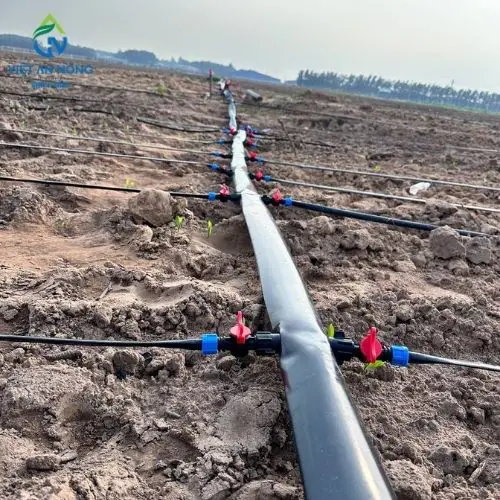 hệ thống đường ống tưới nhỏ giọt