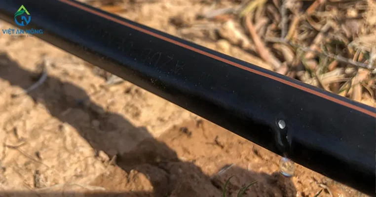 he thong nho giot azud