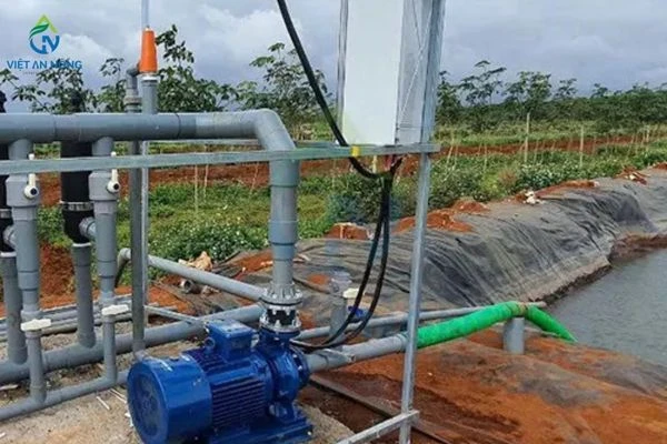 may bom tuoi tu dong