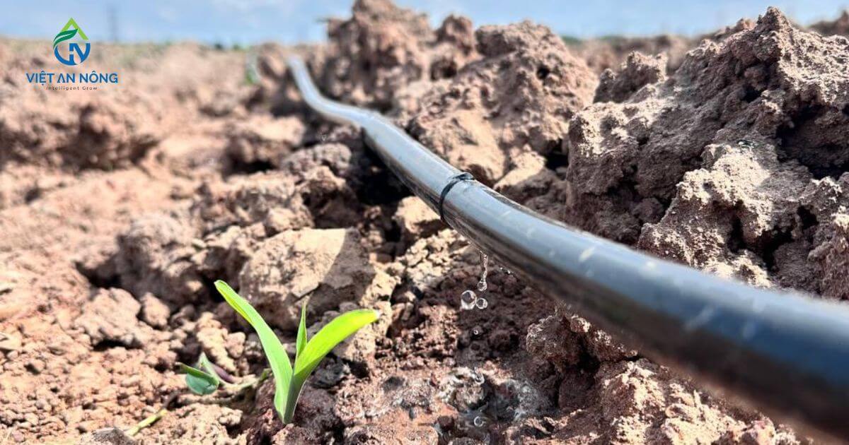 Ống nhỏ giọt nên chọn loại nào? So sánh 12mm - 16mm - 20mm 1 Ống nhỏ giọt nên chọn loại nào? So sánh 12mm - 16mm - 20mm