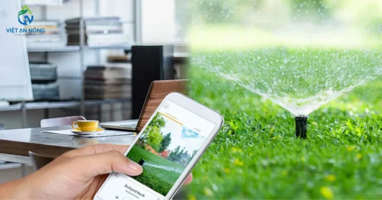 tuoi tu dong anh bia