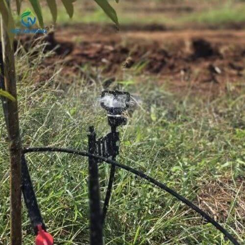 Yếu tố quan trọng khi chọn béc tưới cây ăn trái