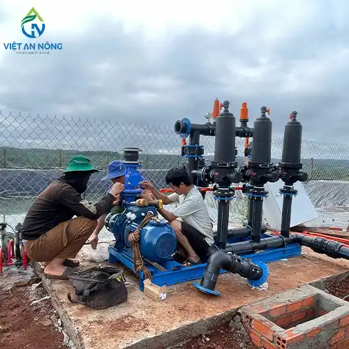 DỰ ÁN TƯỚI 10HA CÀ PHÊ BẰNG BÉC TƯỚI GỐC PHUN MƯA CHỈNH BÁN KÍNH G5 TẠI BÌNH PHƯỚC 11 dự án tưới cà phê bằng béc tưới phun mưa G5 ở Bình Phước