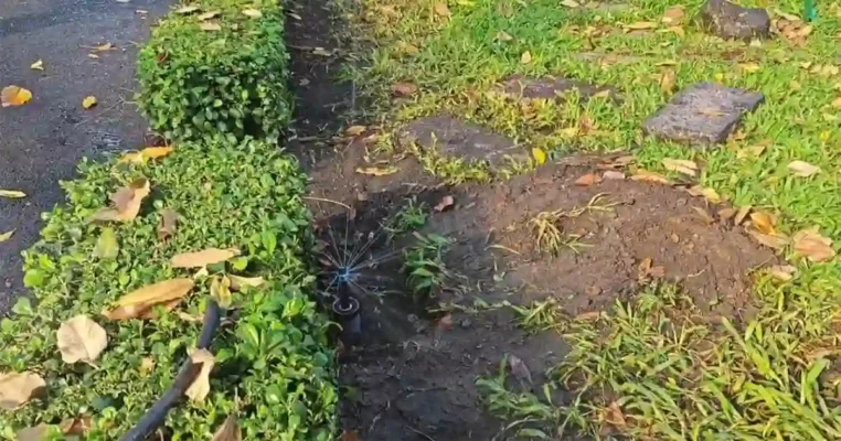 du an tuoi canh quan thao cam vien 1