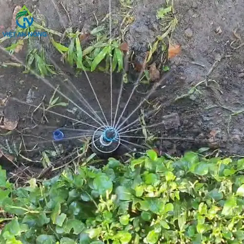 Tưới cảnh quan thảo cầm viên bằng vòi phun Rotary