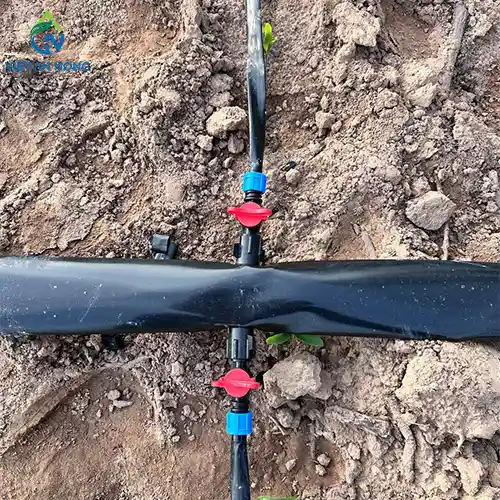 DỰ ÁN LẮP ĐẶT HỆ THỐNG TƯỚI NHỎ GIỌT CHO 30HA BẮP Ở BÀU BÀNG 17 dự án lắp đặt hệ thống tưới nhỏ giọt cây bắp ở Bàu Bàng