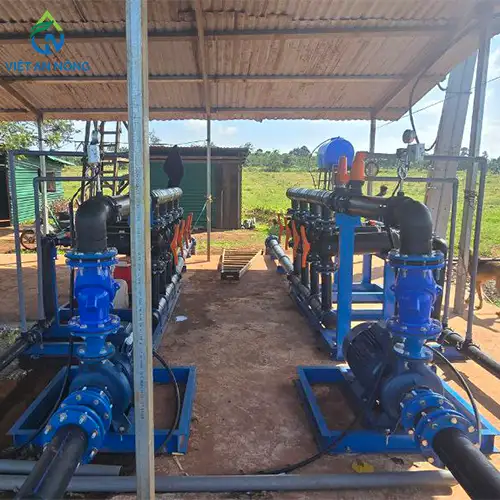 DỰ ÁN TƯỚI 40HA SẦU RIÊNG BẰNG BÉC TƯỚI GỐC BÙ ÁP AQ206PC TẠI ĐẮK LẮK 11 Dự án tưới 40ha sầu riêng bằng béc AQ206PC tại Đắk Lắk