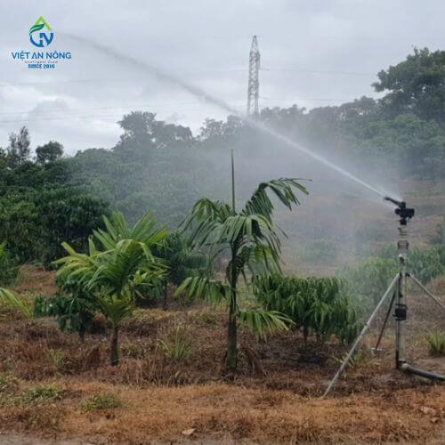 Mẫu súng tưới cây phù hợp cho người bắt đầu