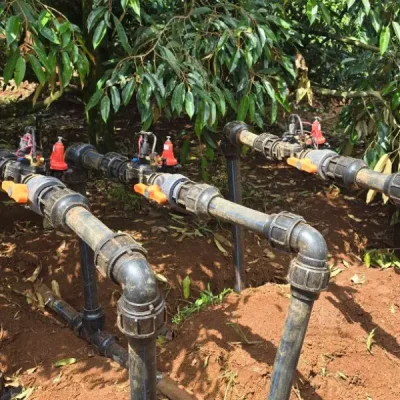 Hệ thống tưới 77 tưới cà phê thông minh 10 ha van điện từ hydromat