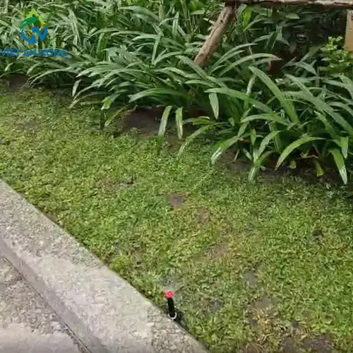 DỰ ÁN TƯỚI CẢNH QUAN BẰNG VÒI PHUN POP-UP KRAIN Ở ĐỒNG NAI 5 Tưới cảnh quan bằng vòi phun Pop-up KRain ở Đồng Nai