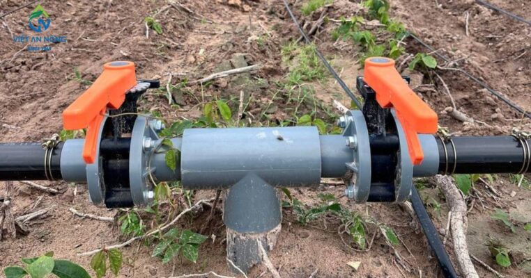 Van cánh bướm chính hãng mua ở đâu uy tín, chất lượng