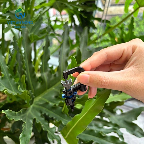 Béc phun thuốc tưới tán sầu riêng AQ210XR - Phun đều, tiết kiệm, bảo vệ cây hiệu quả 4 béc phun thuốc tưới tán AQ210XR
