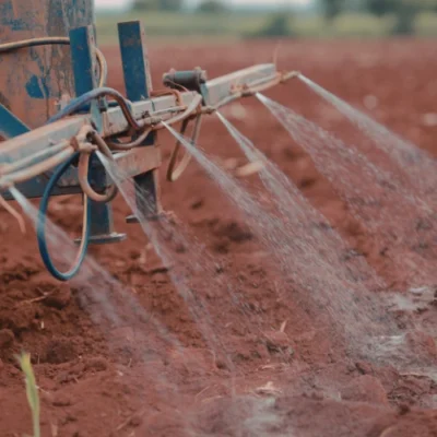 Tưới cà phê thừa - thiếu nước gây hại như thế nào cho cây? 5 su dung phuong phap tuoi khong phu hop