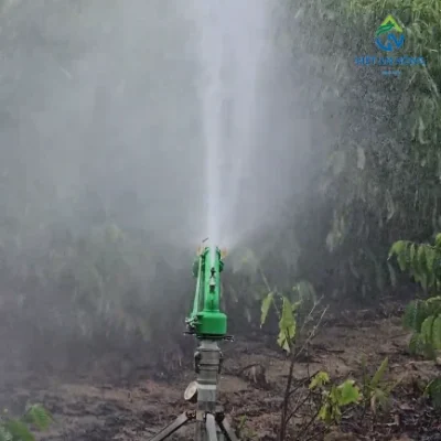 sung tuoi ca phe sky41proplus