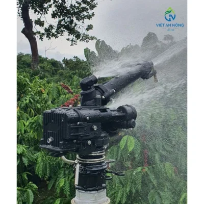 Tưới cà phê thừa - thiếu nước gây hại như thế nào cho cây? 1 Tưới cà phê