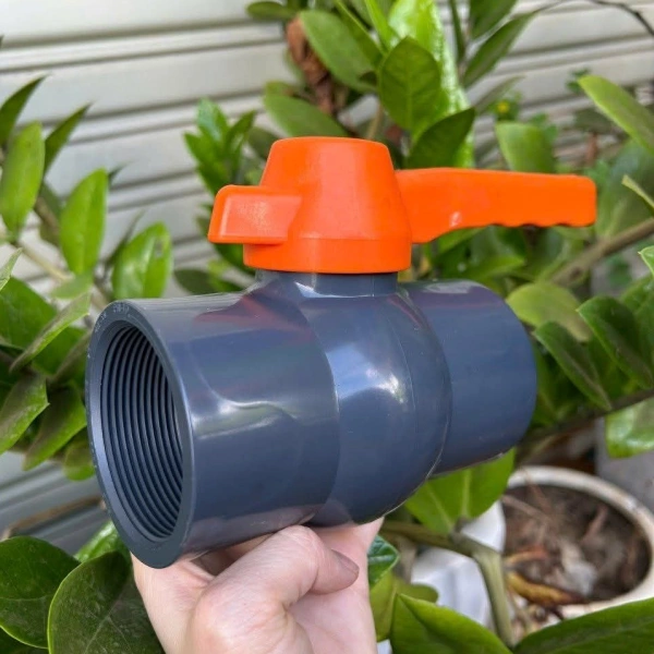 Van cầu PVC Aqua - Việt An Nông phi 42mm (1 1/4") ren trong 10 Van cầu PVC Aqua ren trong 42mm Ấn Độ 4