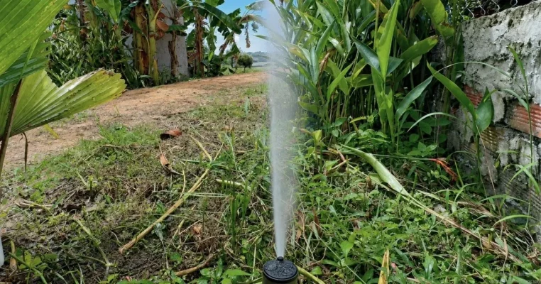 dự án tưới tự động kết hợp cảnh quan và nông nghiệp Tây Ninh