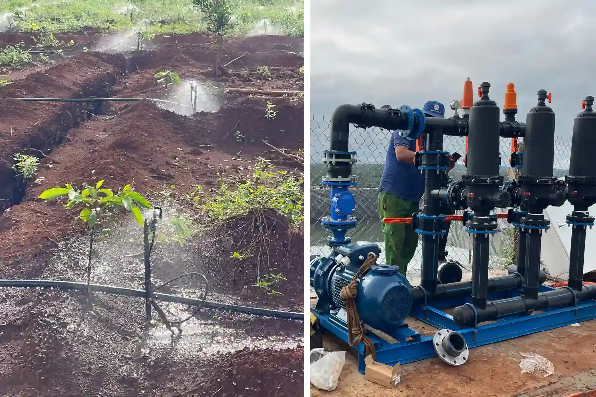 Kiểm tra áp lực và độ phủ của béc tưới ở cuối hàng Xả cặn và nghiệm thu vận hành hệ thống tưới cà phê