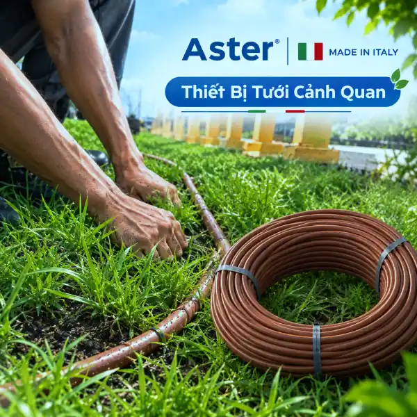Bảng Giá Thiết Bị Tưới Cảnh Quan Mới Nhất 2026 - 2027 9 Bảng giá thiết bị tưới cảnh quan Aster Ý - Dây tưới nhỏ giọt bù áp rải gốc bồn hoa