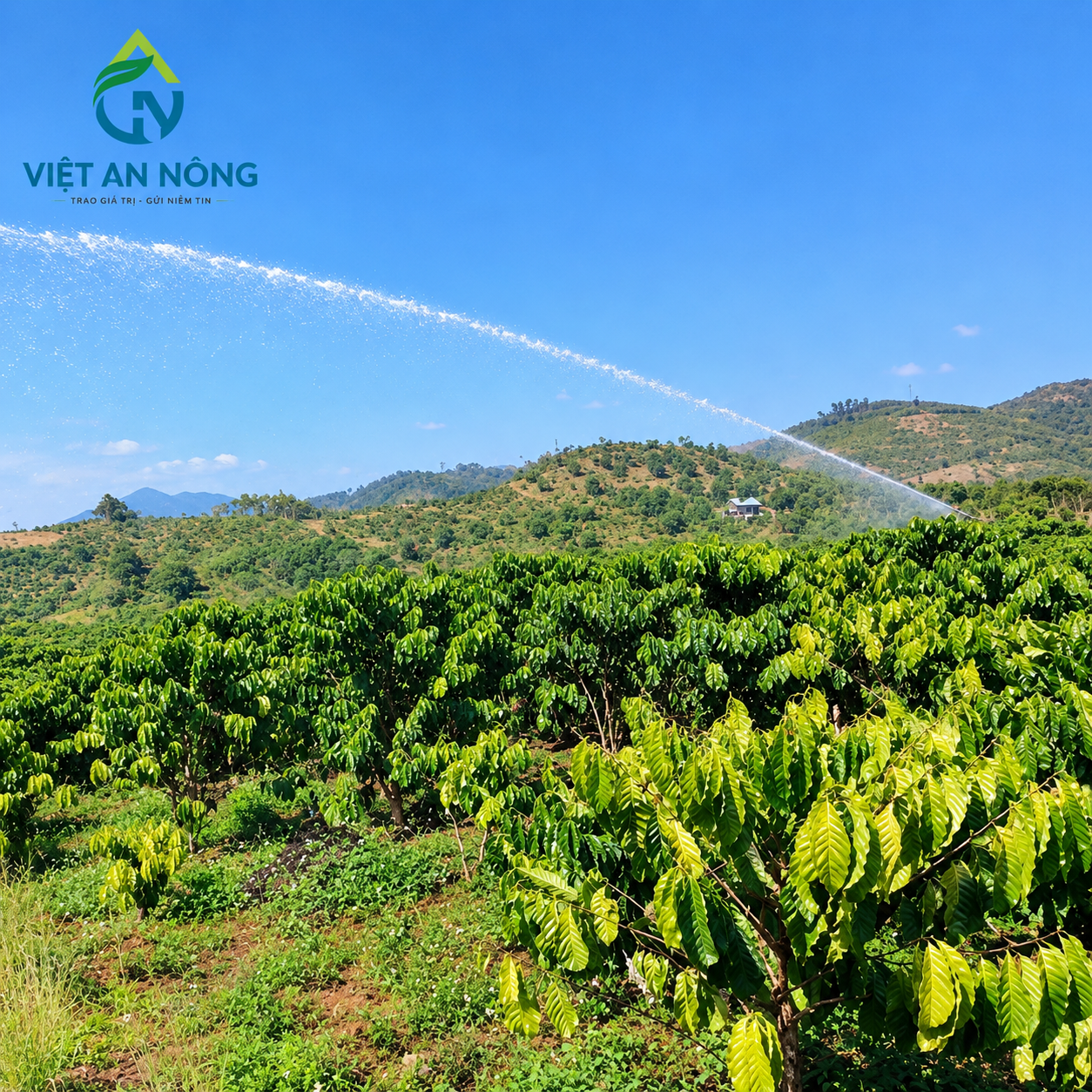 Các Loại Súng Tưới Cà Phê Bán Kính Lớn Tốt Nhất 2026 - 2027 3 Các dòng súng tưới cà phê chính hãng Việt An Nông