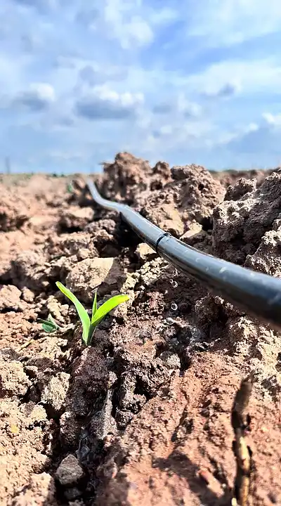 Thi công thiết bị tưới tự động Việt An Nông 172 Dây tưới nhỏ giọt cho rau màu, cây ăn quả – Việt An Nông