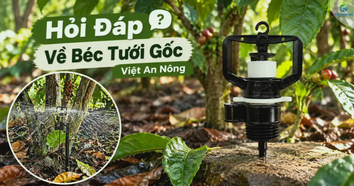 Hỏi Về Béc Tưới Gốc - Việt An Nông 1 Hỏi về béc tưới gốc: Việt An Nông giải đáp thắc mắc của bà con