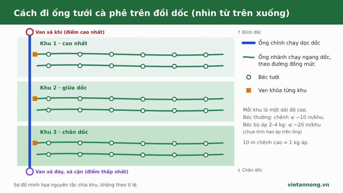 Sơ đồ đi ống tưới cà phê đồi dốc: ống chính dọc dốc, ống nhánh ngang dốc theo đường đồng mức, chia 3 khu theo độ cao