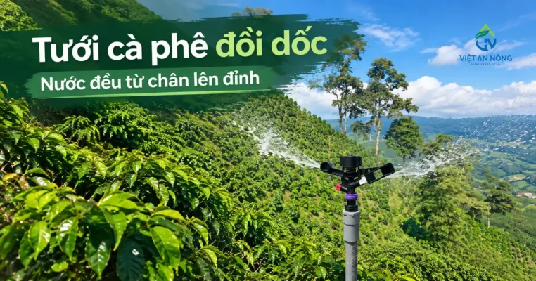 Tưới cà phê vườn đồi dốc bằng béc bù áp aq22fr